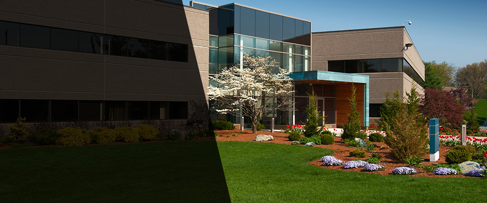 Bonita Springs Landscapers