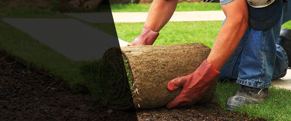 Bonita Springs Landscapers